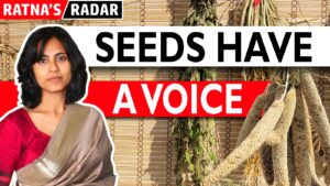 seed banks in india
